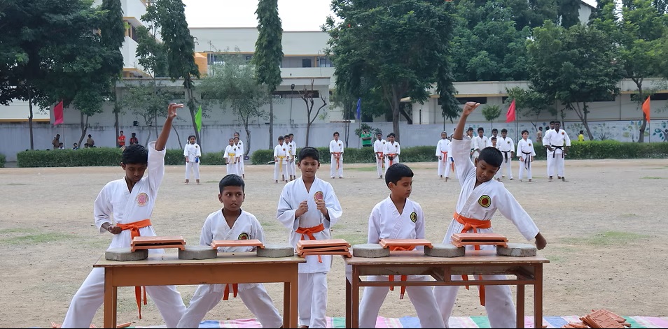 NARAYANI-4